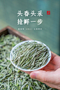 特级正宗福鼎白茶白毫银针藏着喝2021茶叶500克（一箱）-tmall.com天猫