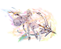spr_AGbigcard_10000101