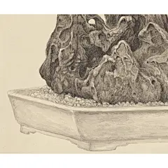 姿翰 超高清微喷装饰画 程起 工笔山水画国画 山房奇石图 纸本 121x66 画芯不装裱(一张纸片)【图片 价格 品牌 报价】-京东