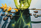 【怒波鱼】：Denny <wbr>Bond水彩画