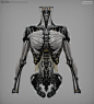 GITS_Torso_InternalStructure_09-13-2014_03.jpg