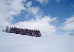 阿黑嘿采集到雪