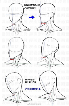 一个人的大风采集到头颈肩结构