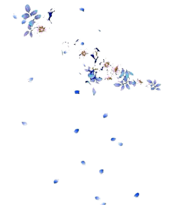 Kamill采集到花