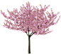 https://pluspng.com/img-png/cherry-blossom-tree-png-hd-post-28172-0-77813900-1460903564-thumb-png-2538.png