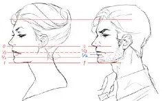 #绘画参考# 【初学者向】Yasukata 分享了ta的面部、人体比例教程，里面有男女不同的比例对比。ヽ( ^∀^)ﾉ