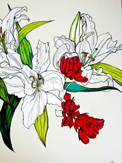 【花卉插画系列图集下载】创意叶子草本花卉绘画/抽象植物绘画临摹作品/水彩iPad手绘作品