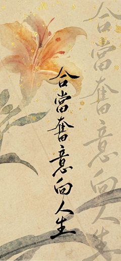 段段菇凉采集到产品product