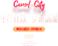 camel旗舰店