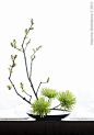 Pinterest : Discover recipes, home ideas, style inspiration and other ideas to try.