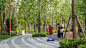 徐汇万科中心绿轴公园 Xuhui Vanke Center Green Spine Park by TLS Landscape Architecture :   TLS Landscape Architecture: 万科南站绿轴公园将是一个21世纪前沿和标志性的城市公园，上海徐汇中心区域（上海南站）是一个令人兴奋的目的地和文化枢纽。这也将是一个自然，娱乐和休息的地方——一个城市喧嚣和纷乱的避难所。设计的指导理念源于...