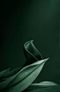 Pinterest • The world’s catalog of ideas
