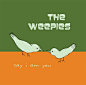 Say I Am You The Weepies专辑 
