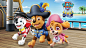 “paw patrol Treasure”的图片搜索结果