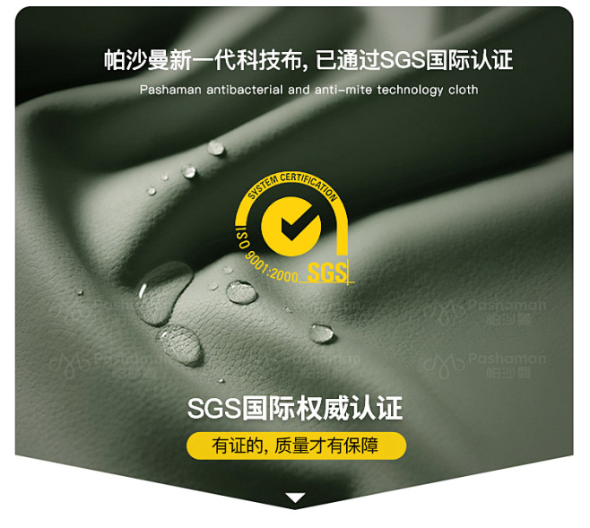 帕沙曼 新款科技布沙发小户型客厅轻奢极简...