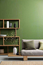 室内设计·绿·色彩
