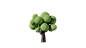 植物4