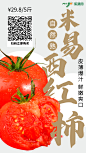 西红柿海报