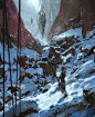 Tribe 1, Wadim Kashin : ( personal ) 
W.D. 2016