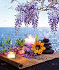按摩的石头与蜡烛、 雏菊和紫藤-海背景-背光