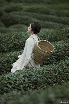 绿果果果果采集到古风女人像