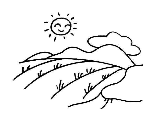 阳光灿烂的田野