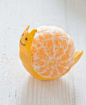 橘子蜗牛。