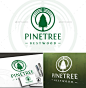 松树木材标志——自然标志模板Pine Tree Wood Logo - Nature Logo Templates聪明,沟通,有创造力,创造力,设计工作室,生态,生态农场,农业,食品标识、森林、园林企业,绿色,阳光,健康品牌,保险,媒体,自然美景,自然、高贵、橡树、保护、皇家、安全、安全、工作室,树,树木,健康公司,木头 clever, communication, creative, creativity, design studio, eco agency, ecology, farm, farmin