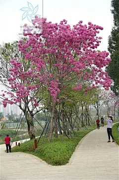 采集图片