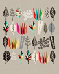 Graphic Design / Image of Botanical Assembly // ina luxe