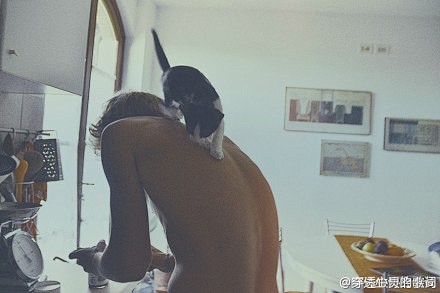 我的首页 微博-随时随地分享身边的新鲜事...