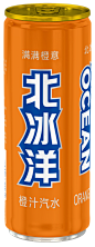 北冰洋1