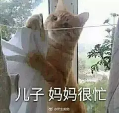 来自相册