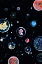 7f9726173026797