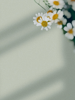 Fenfen-Design采集到晒单底图