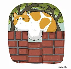 猫咪迷惑行为大赏！这40个猫咪的爆笑瞬间，每一张都是表情包哈哈哈哈 (27)