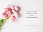 Floral styled stock photography