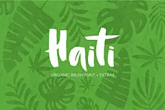 画笔笔刷手工绘制英文手写品牌宣传海报排版设计字体 Haiti Organic Brush Font Extras