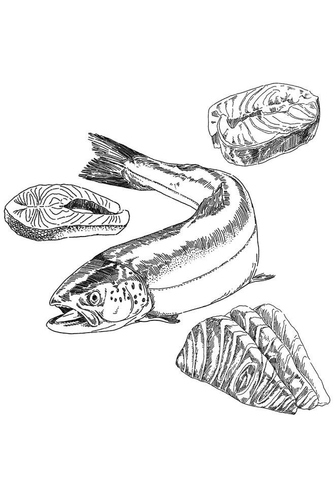 鱼类食材海鲜刺身元素