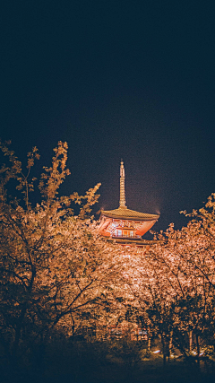 忽然之间怀疑人生采集到手机背景