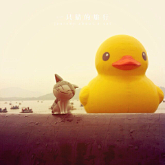 一只猫的旅行♬℡采集到凰