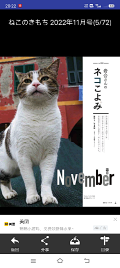 蟑螂恶霸evil采集到日杂风参考