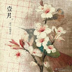 董兮玉采集到素材