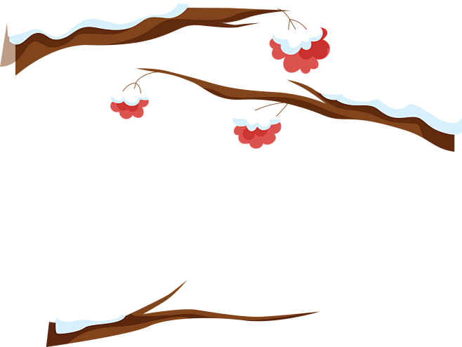 冬季插图 积雪的枝丫梅花树 