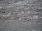 Marble 瓦尔斯: 