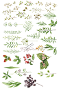 A1407矢量水彩风格绿色树叶植物插画小清新森系图案 AI设计素材-淘宝网