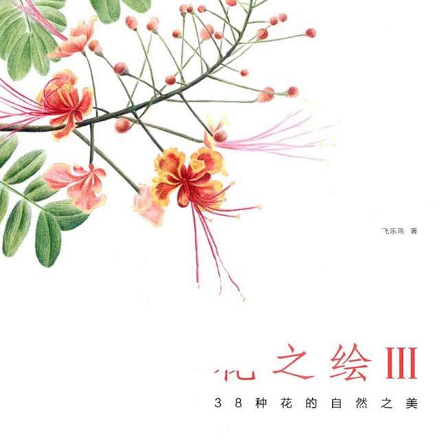 彩铅花之绘花卉植物素材唯美插画手绘教程线...