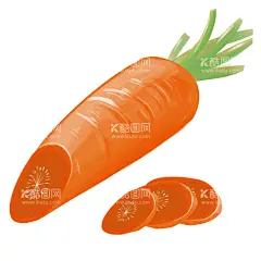 手绘胡萝卜插画  - 源文件下载【酷图网】手绘蔬菜,蔬菜,胡萝卜,手绘胡萝卜,萝卜,手绘萝卜,农作物,手绘农作物,原创,手绘,水果,系列,粮食,主食,食物,手绘食物,美食,手绘美食?