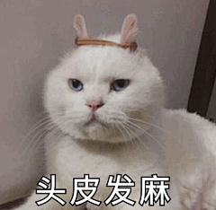 阿凡达哒哒哒哒采集到猫猫