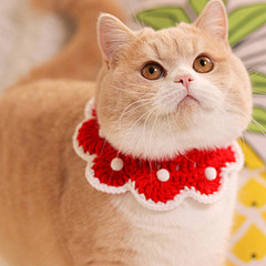 宠物猫狗兔毛线针织项圈现年圣诞节饰品口水...